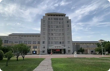 University Partnership Program