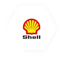 Our Global Collaborations