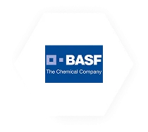 Our Global Collaborations